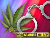 Scam - Reform marijuana laws TODAY